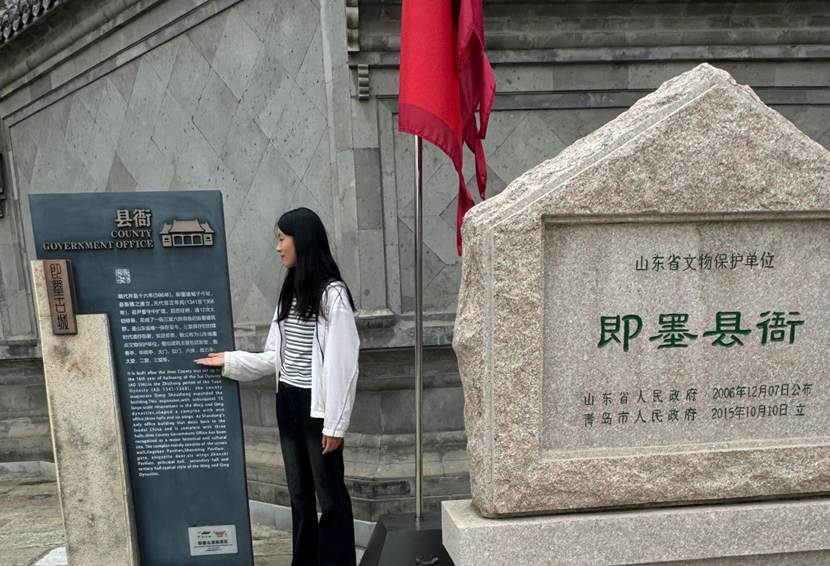图片8